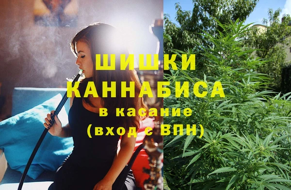 спайс Баксан