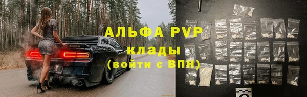 сатива Няндома