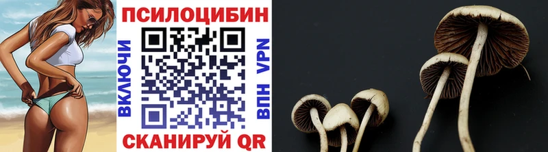 Псилоцибиновые грибы MAGIC MUSHROOMS  Сегежа 